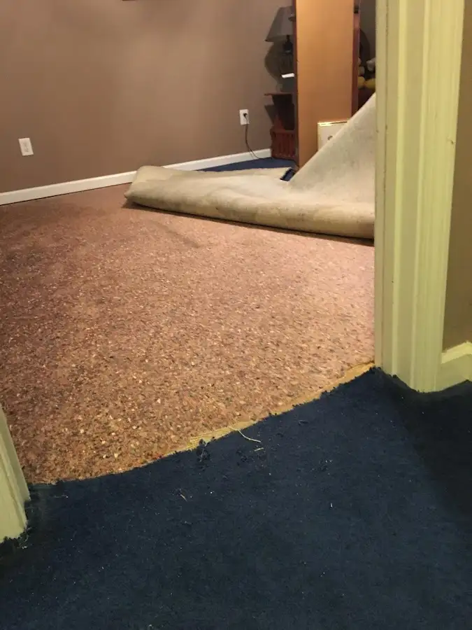 Carpet pad removal revealing water damage during Drying & Dehumidification in Jacksonville