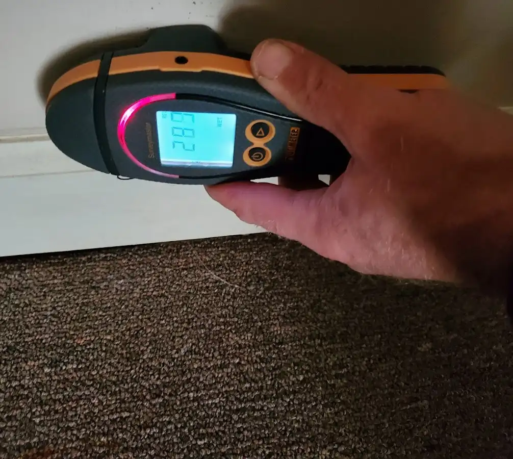 Moisture detection at baseboard during Mold Inspection & Testing in Jacksonville